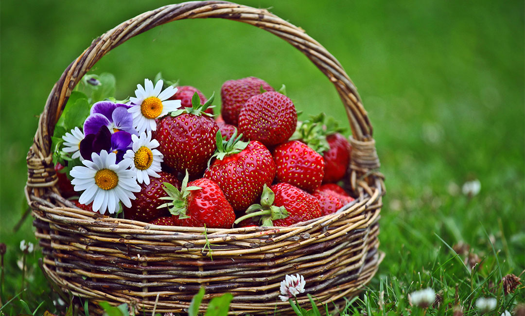 河南点呀点水果电商APP开发案例